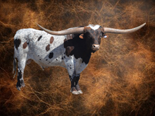 SEMEN-KDK HERCULES-1 STRAW