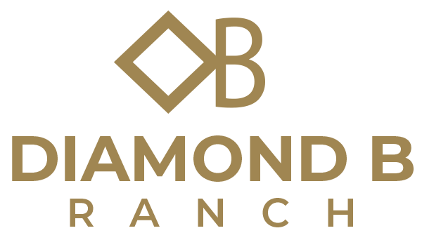 Diamond B Ranch logo